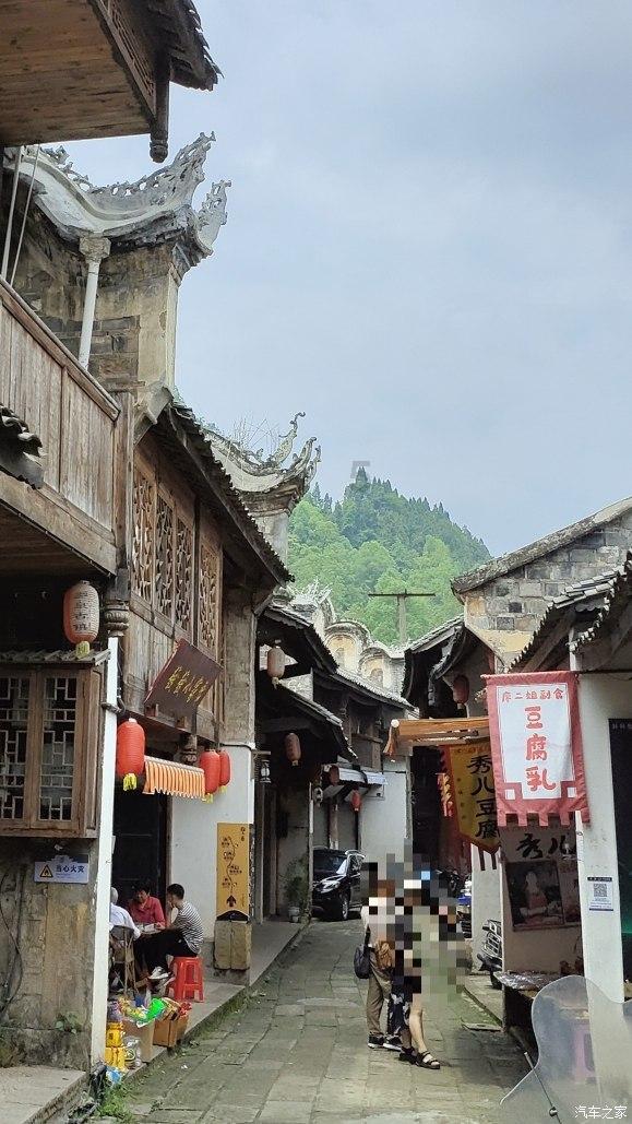 受困的西红柿